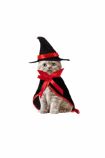 Disfraz de Brujo con Sombrero y Capa Talla M